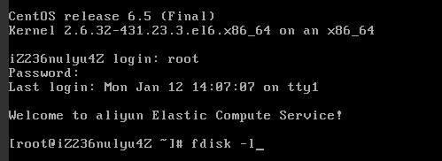 阿裡(lǐ)雲服務器(qì)怎麽分(fēn)區(qū)格式化(huà)/挂載硬盤